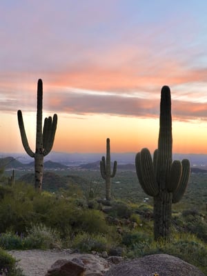 Scottsdale